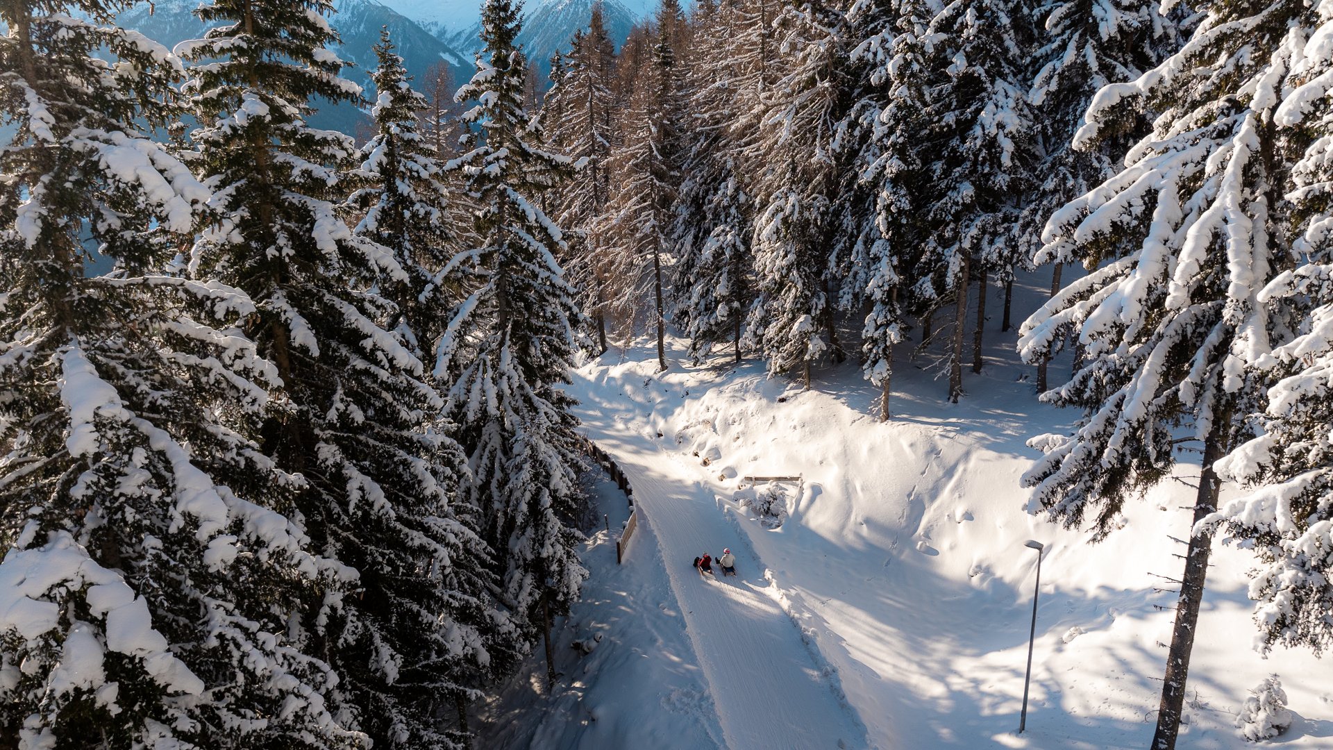 Il Lahnerhof: un hotel al Monte Cavallo, Vipiteno Alberi sempreverdi innevati e persone su un sentiero invernale tra le montagne